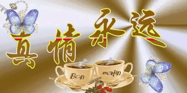 谁未曾为爱盲目过？茫茫人海寻觅慰藉，情字总让人飞蛾扑火。人心隔肚皮，情场犹如试金