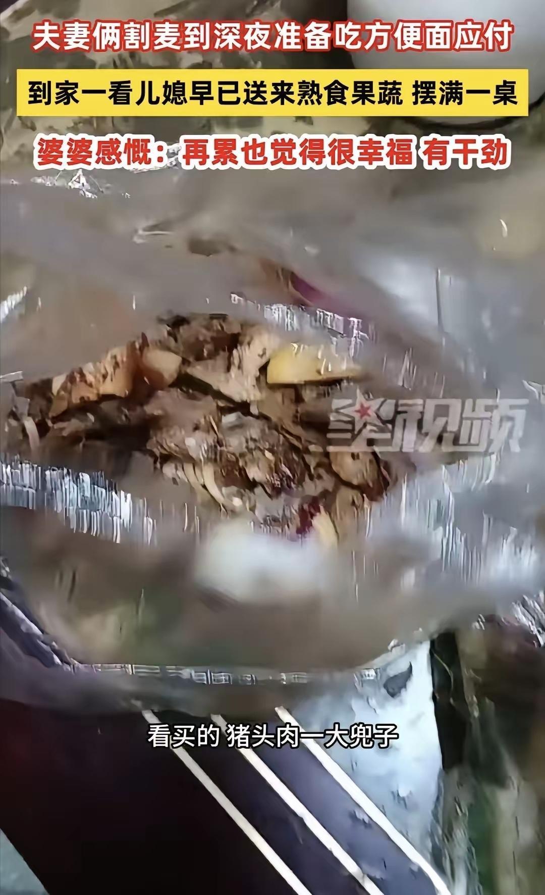 “真好！”老两口割麦到深夜，回家想泡方便面凑合一口，进屋一看红了眼眶5月31