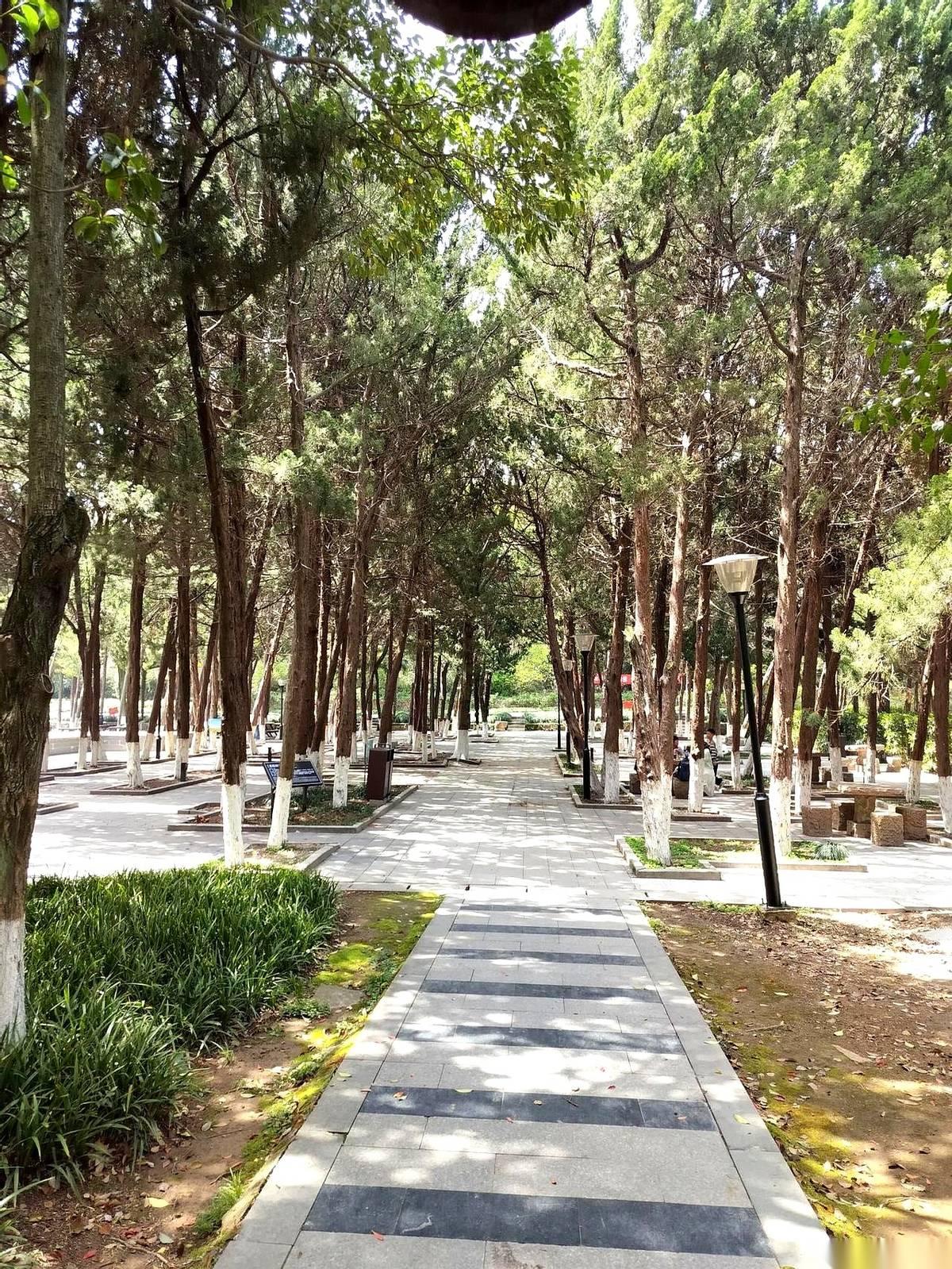 我弟，结婚才一年，突然跟我说想离了。不是吵架，不为钱，就因为他媳妇怀孕，丈母娘