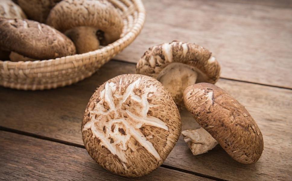 大家常说“冬吃萝卜夏吃姜，一年四季吃香菇”，香菇凭借鲜美的口感和丰富的营养，成