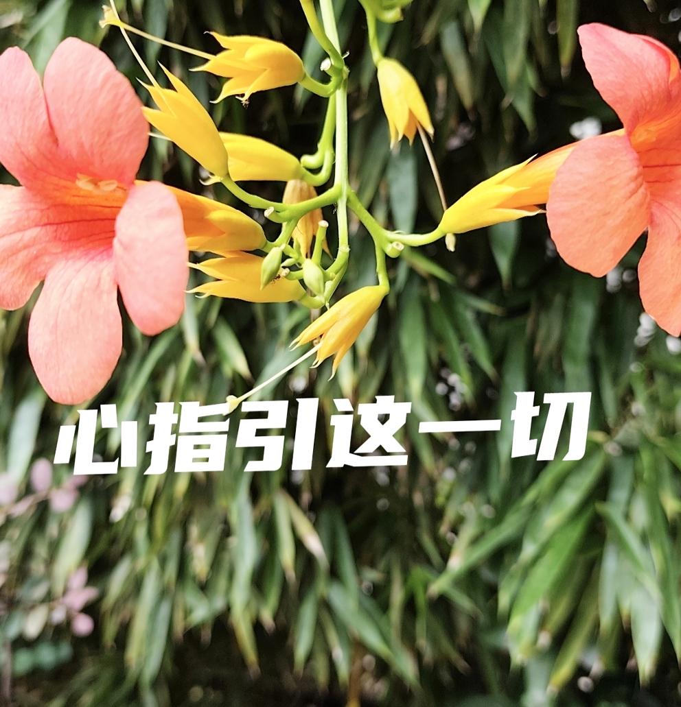 平静坦然的过，没什么大不了的事儿。一种慢性炎症啊，不得癌的，身体里大多数都可能有