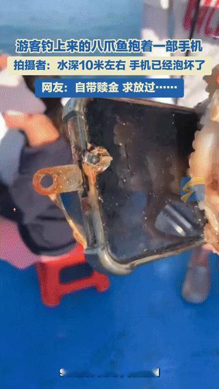 “彻底解释不清了！”福建福州，一导游带着游客去海上进行海钓，结果，一游客钓上来一