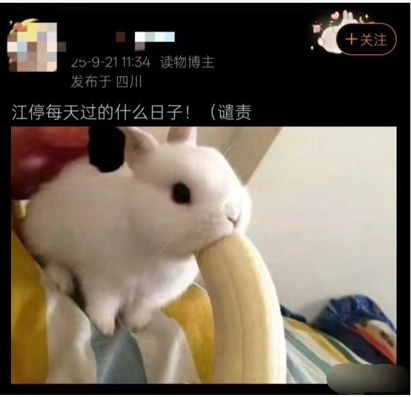 这已经不是一双拖鞋能解决的事了​​​​