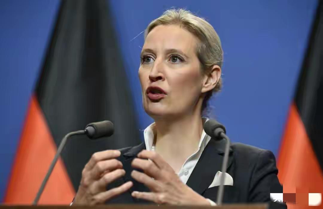 德国做出了正确的决定，魏德尔也是欧洲少有的耻辱女人。近日，魏