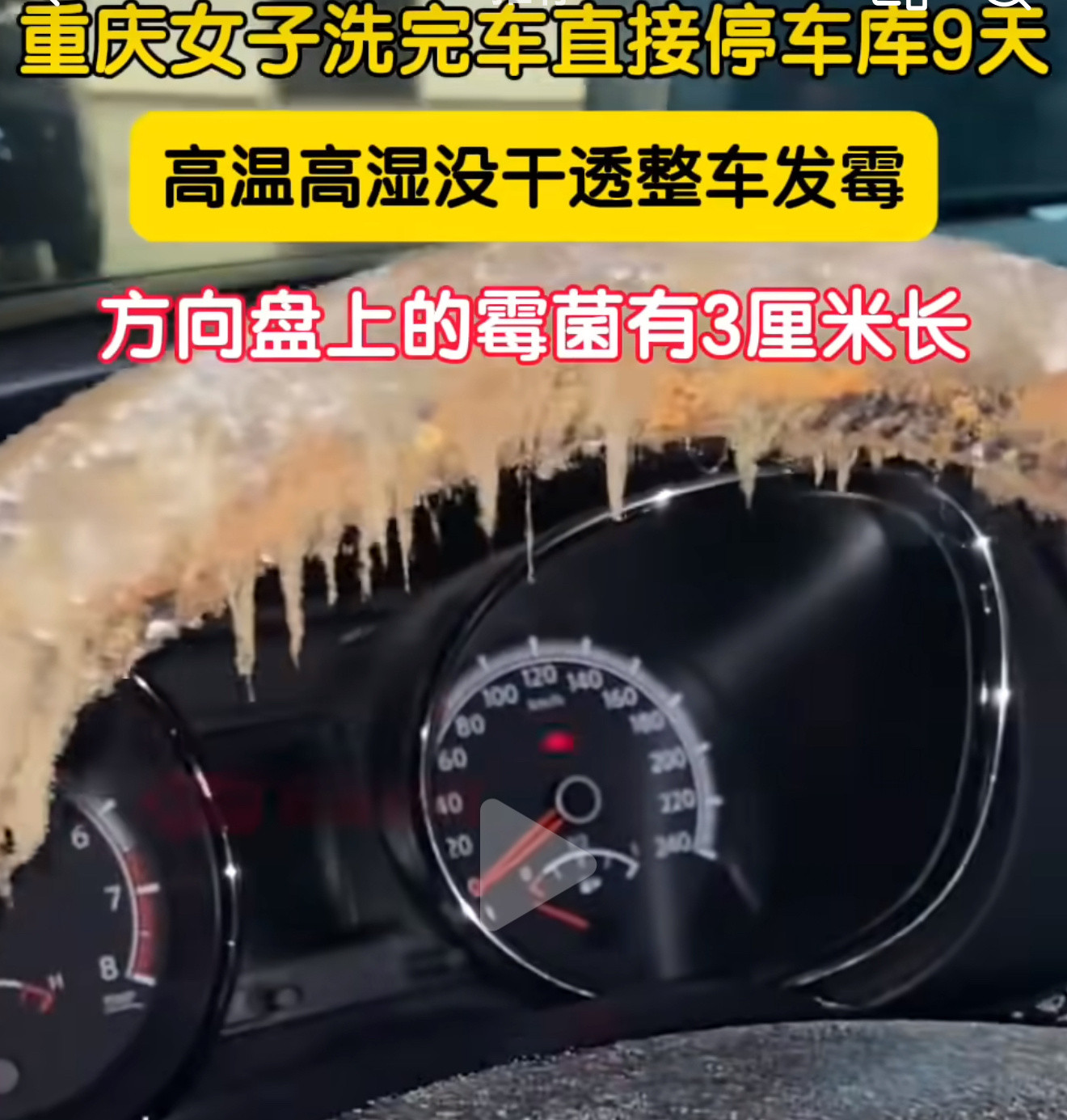 女子洗车9天方向盘长出3cm霉菌车都想报废了，看着都恶心[捂脸哭]​​​