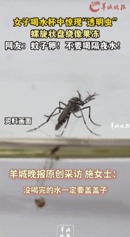 “头皮发麻！”云南大理，一女子起床喝了半杯隔夜水，随手一看，杯底赫然是一排“透明