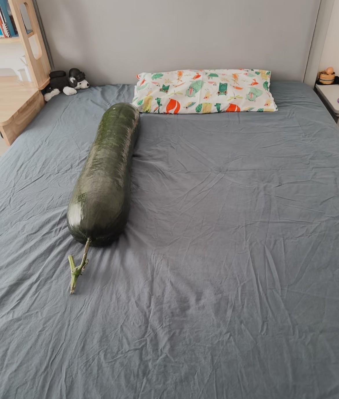 据说可以给娃抱着用来解暑[狗头]