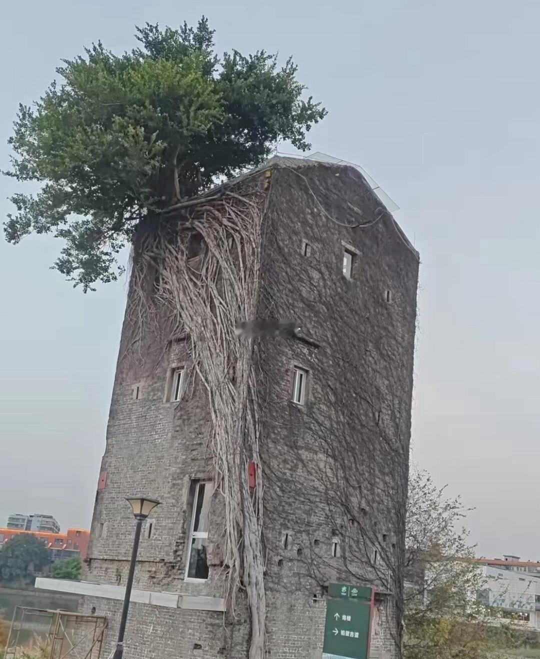 同一个地方只相隔了一年