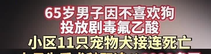 6月18日报道：北京有一位65岁的退休男子，因其不喜欢狗，投放剧毒氟乙酸，致使小