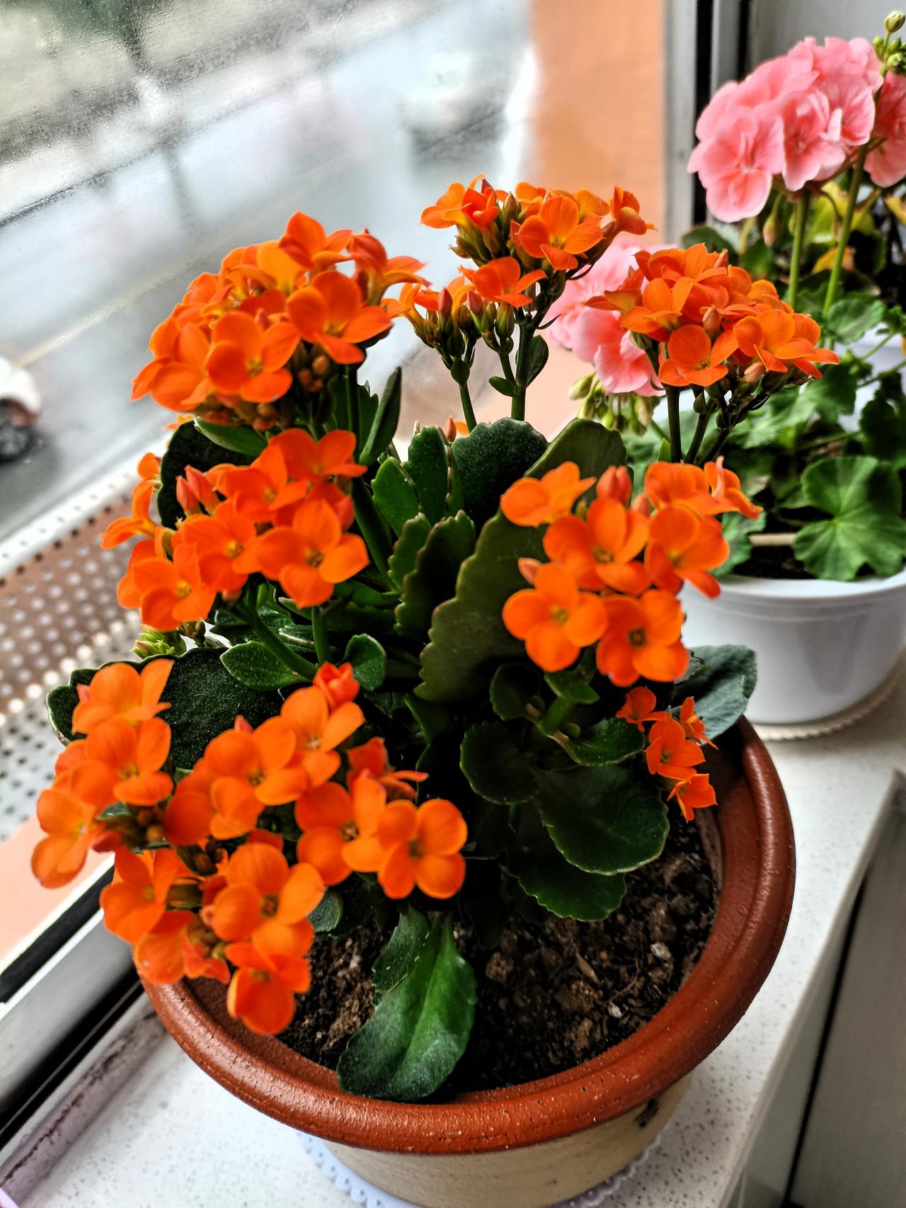 有个做长租公寓的朋友，让我帮他整理资料，居然发现北京支持住房租赁行业的税收优惠政