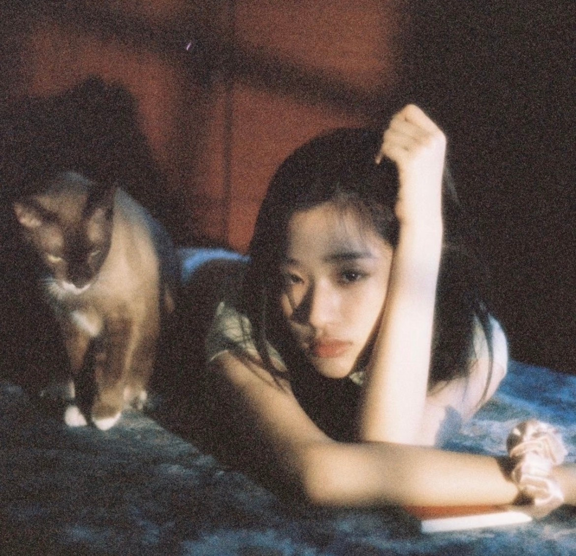𝙒𝙚𝘾𝙝𝙖𝙩头像|复古胶片头像|质感文艺|怀旧氛围|无水印|独特画风