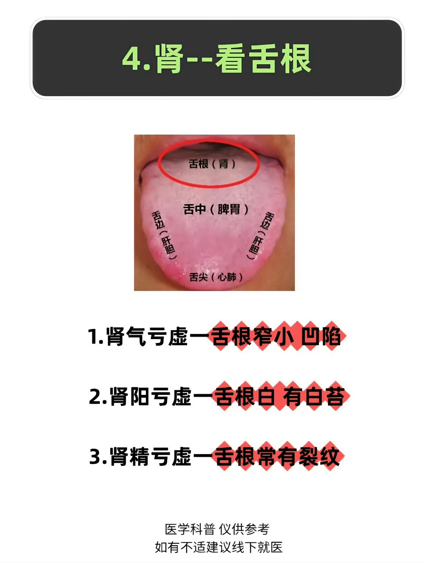 舌头👅的不同位置反应身体的健康状况，简单分享一下经验，大家收藏备用！健闻登顶计