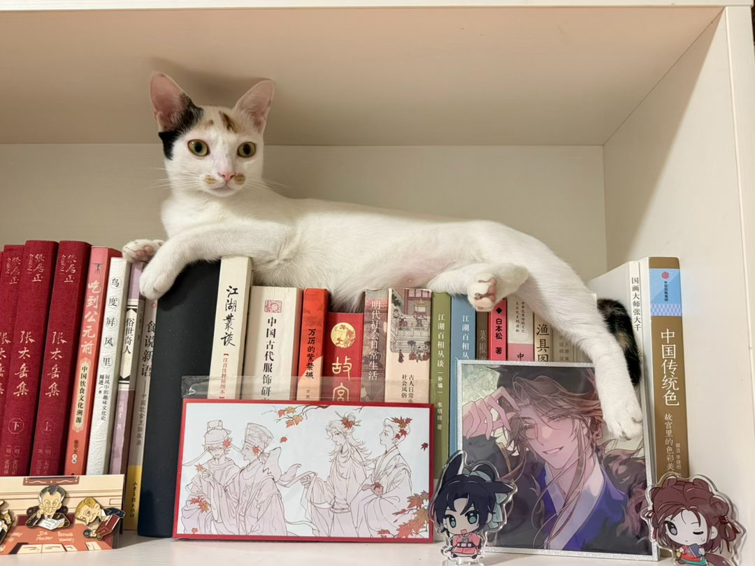 今天份的《末世农庄》更新了！今天的小猫咪（睡着睡着突然抬起头）：客人终于走了吗？