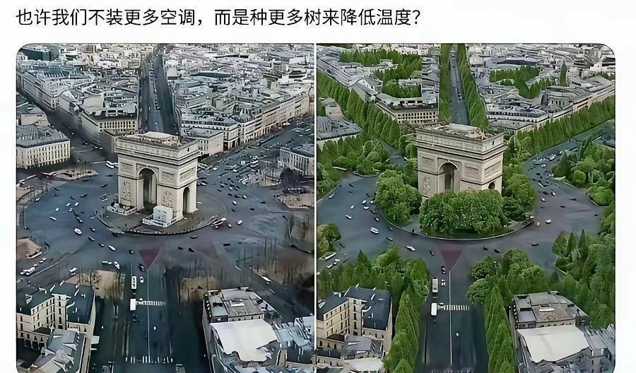 法国网友：种树既可以降温，又可以不用装空调！ 真不敢想象一眼望去一棵树都没有