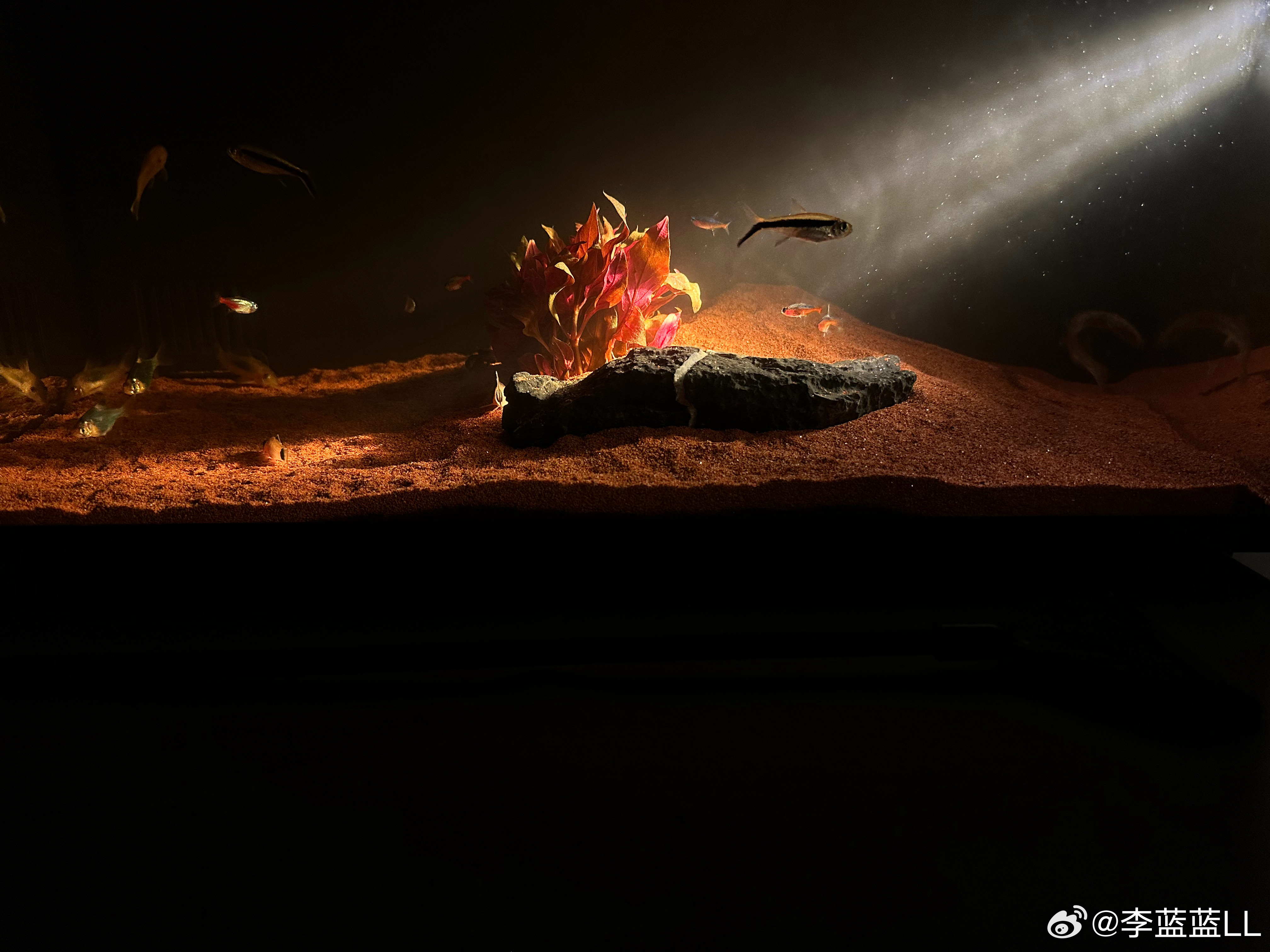 最近又有许多车型被爆锁功率。就是比如新车电机功率200kW，用了两三年之后，给你