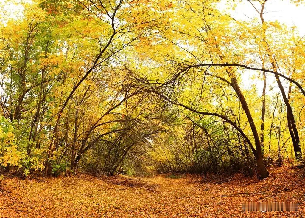 有点意思了，跳出来一位。不划分（阶级）不等于没有阶级斗争；取消以阶级斗争为纲不