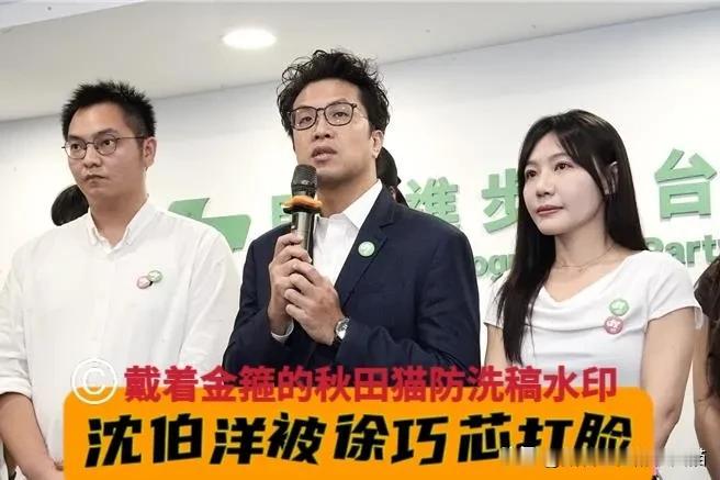 沈伯洋再出洋相！呛徐巧芯“大罢免做梦还没醒”？被徐巧芯六字回呛当场反杀：到底谁