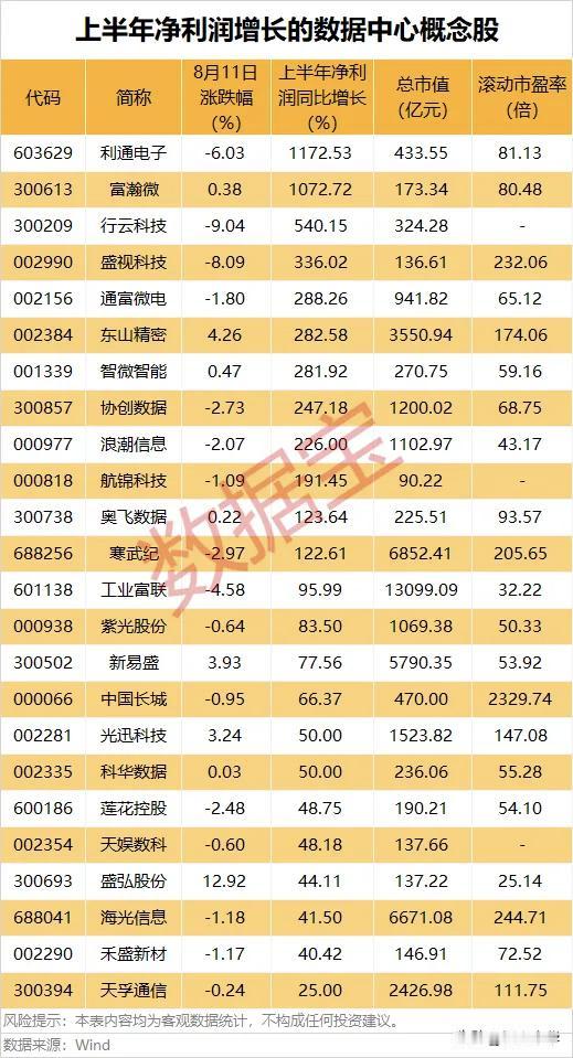 上半年业绩增长的数据中心概念股！