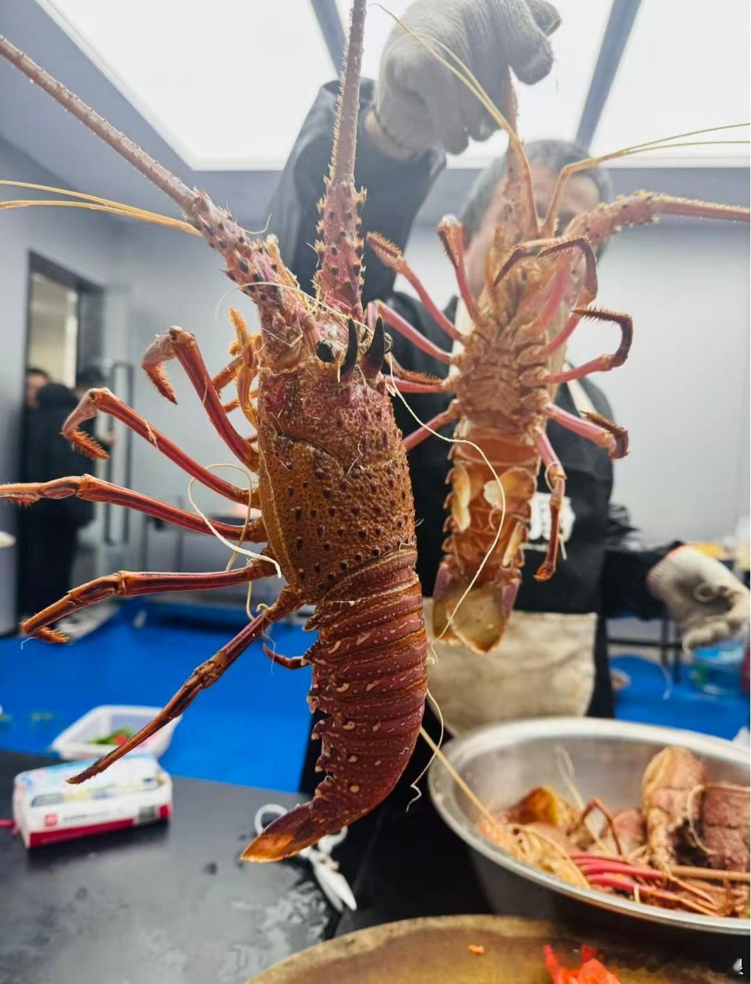 现在后悔草率夸腾势家宴了，豹豹的惊喜主打一个猝不及防，胃和心都被拿捏了😂有没有