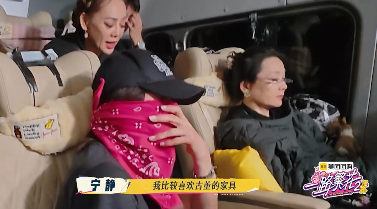 何赛飞就很“忌讳”这个，而宁静偏不，刘嘉玲在一旁不敢说一句话。宁静聊到