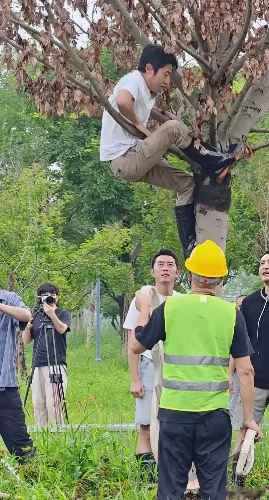 说实话，还真不能怪沙溢的表情像看傻子一样，换谁谁不​​​