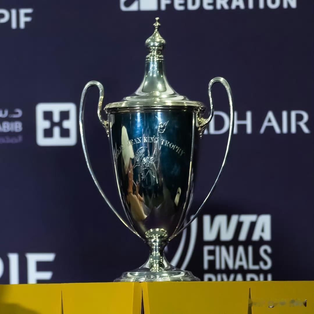 WTA女网单打总决赛小组赛第二轮！莱巴金娜率先晋级四强！萨巴伦卡出线主动权在手！