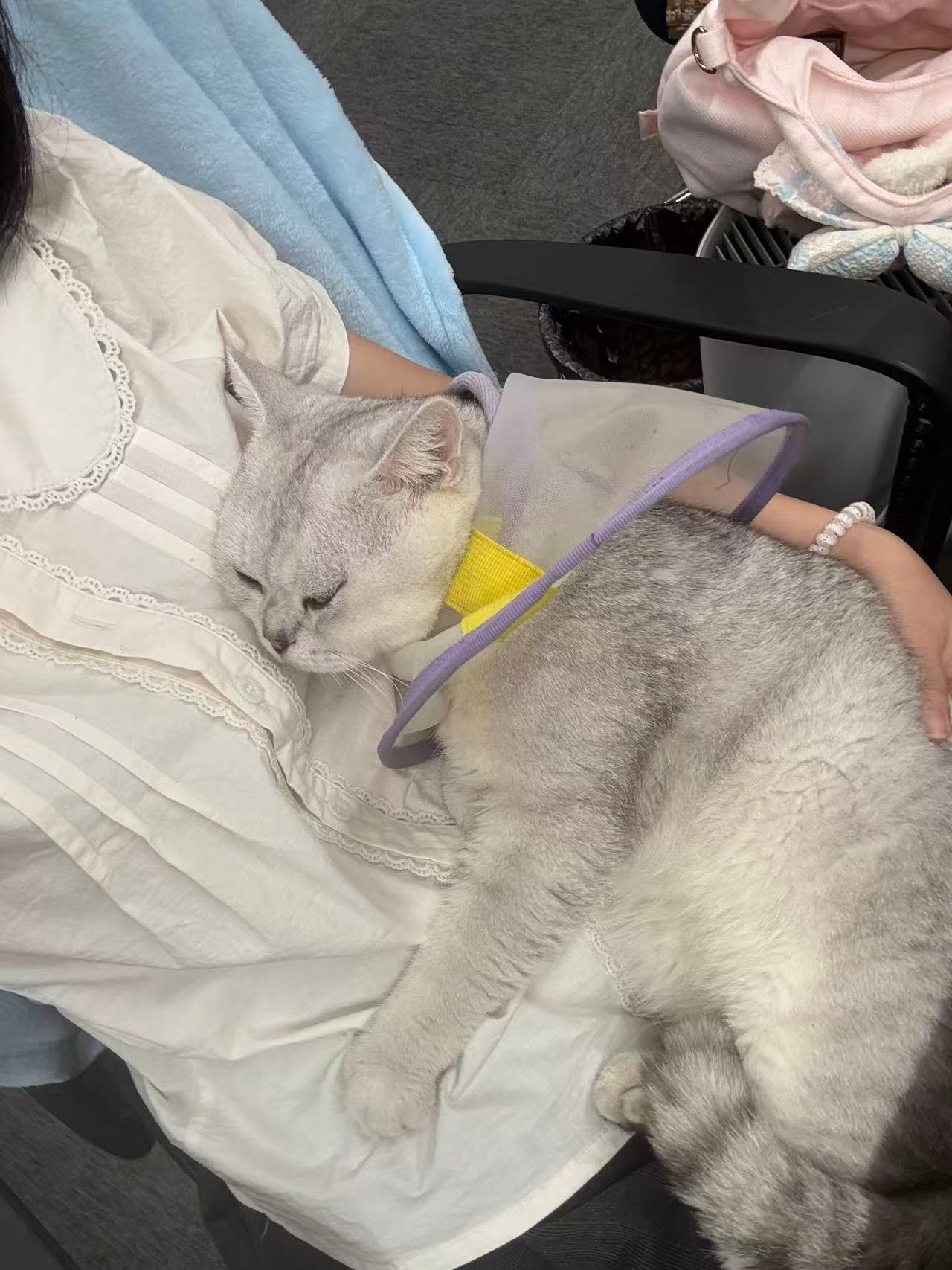怎么会有这么邪恶的猫在公司打猫打狗现在还把我的耳机线也咬断了[哭哭]