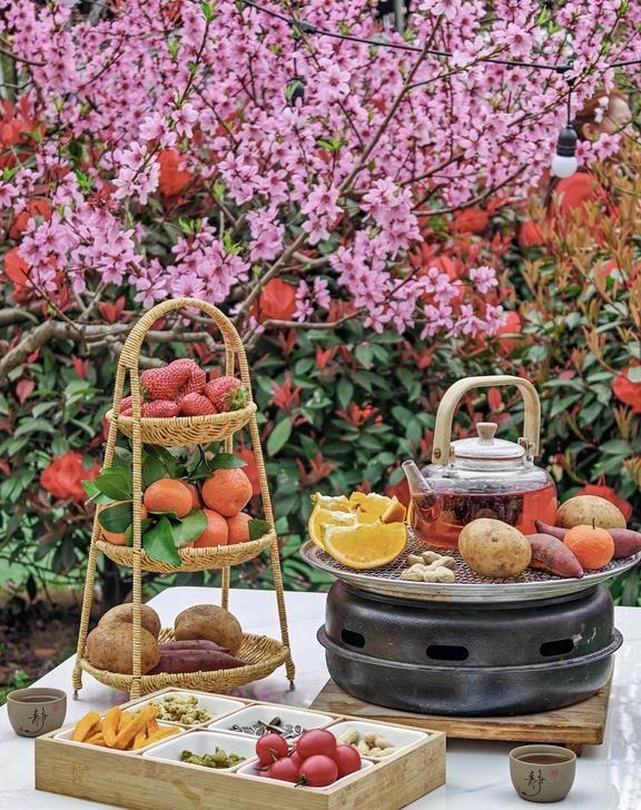 龙泉山桃花已开～快来爬山赏花咯～春天的龙泉山美得不像话，现在的桃花已经进入了全