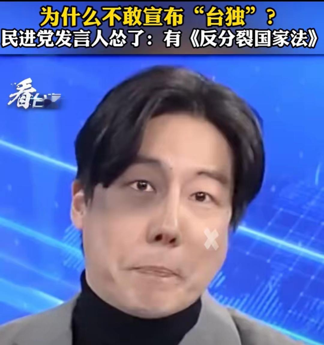 民进党发言人吴铮太搞笑了，他在一个政论节目上被其他嘉宾质问，为什么民进党不敢宣布