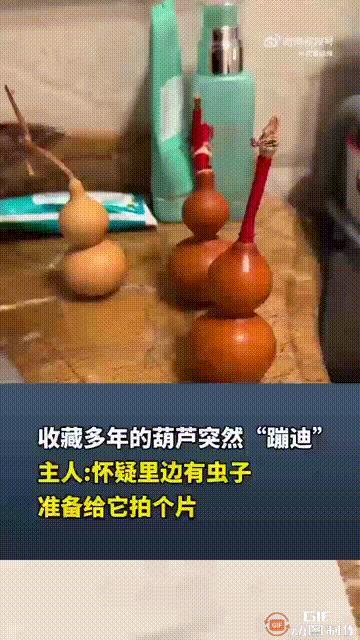 解释不清了！辽宁沈阳一名男子珍藏了几个文玩葫芦，之前一直都放在柜子里，有天他心血