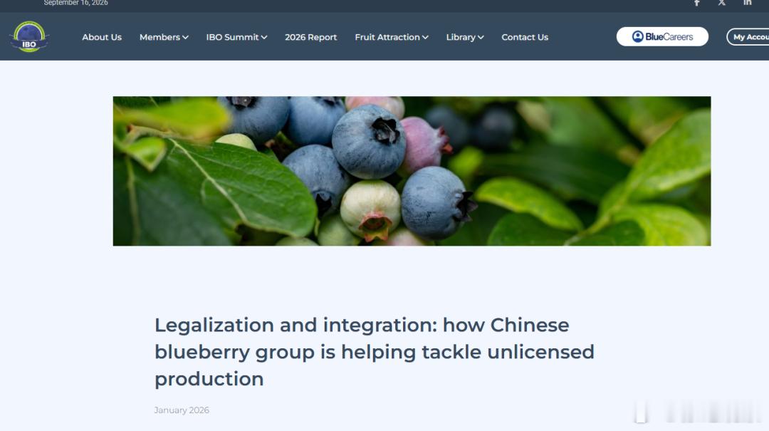 华尔街日报神文，中国人偷蓝莓种植技术，导致美国企业没利润。作者又是华人女记者[哈