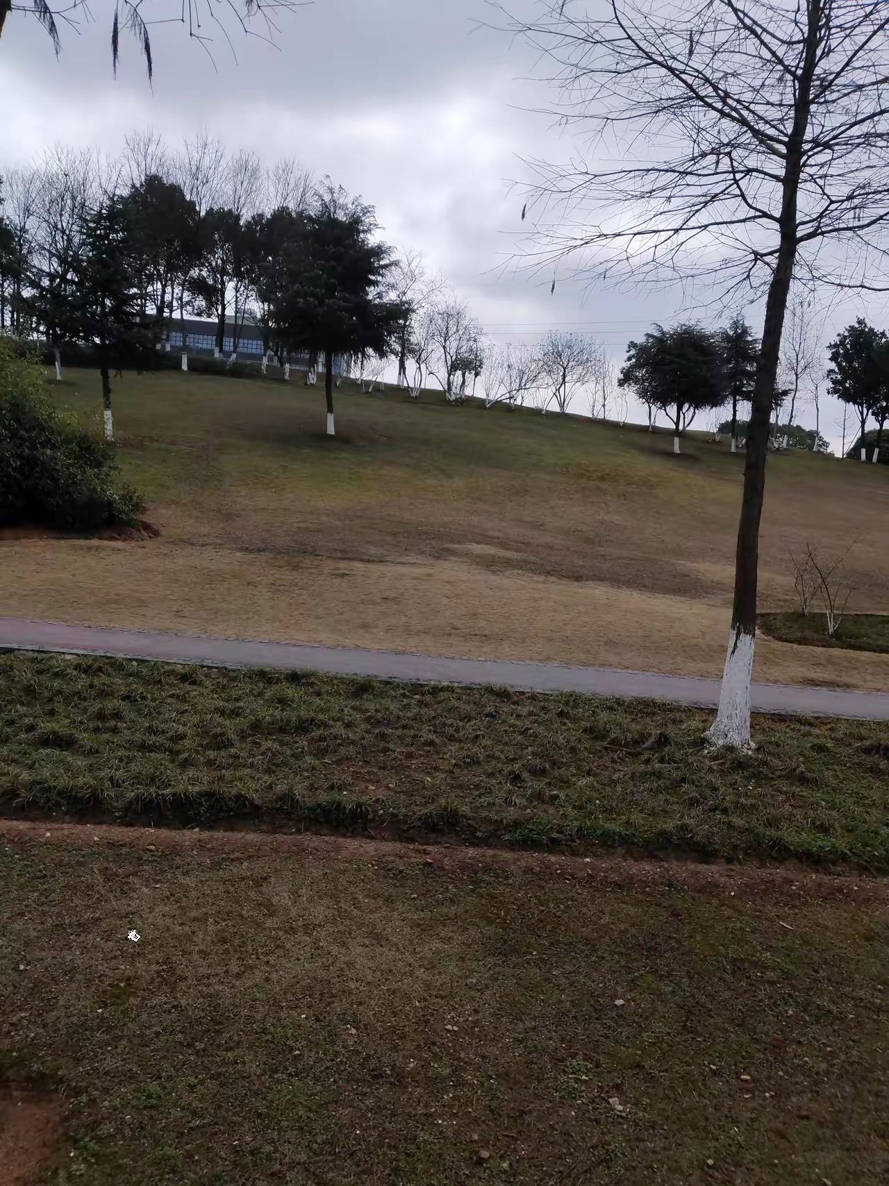 天下的人真的无奇不有，我们楼道里有个女的，看上去应该没50岁，无儿无女，家里整天