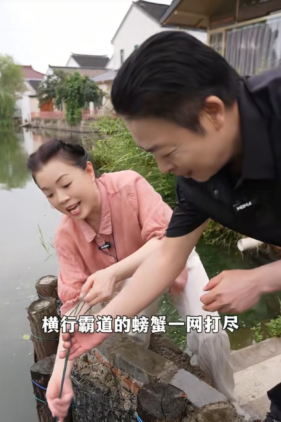 柴桑大姐直播再次劝诫！别弄了，真的没用。这段时间只因柴桑大姐直播报出13年、