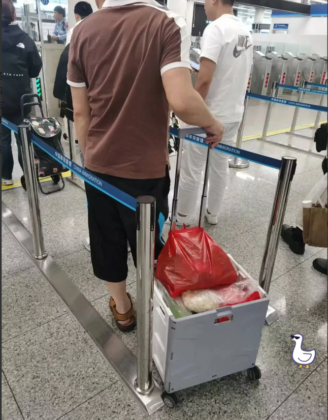 活久见！在广东深圳过关回香港，竟撞见大叔拉满小车的深圳蔬菜往香港跑！丝瓜、土豆、