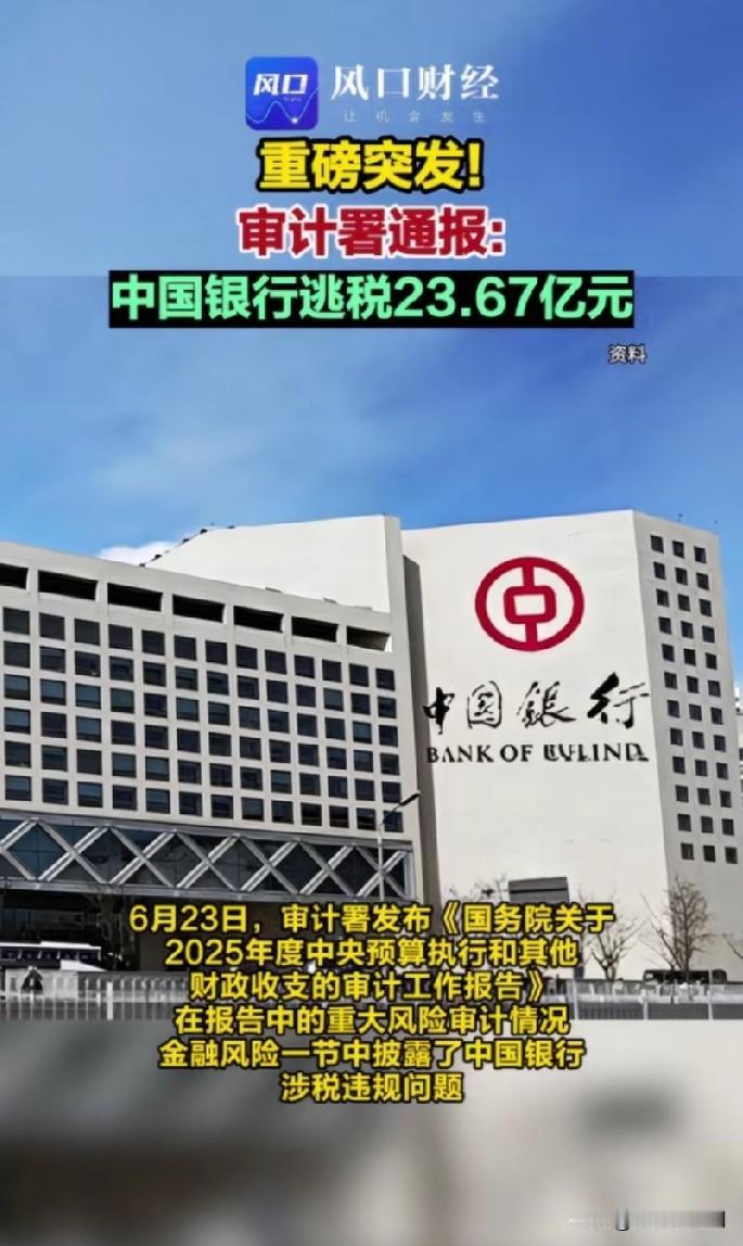 普通公司逃点税，大家可能也就骂两句“黑心资本家”。但这次可是国字头的银行啊，审计