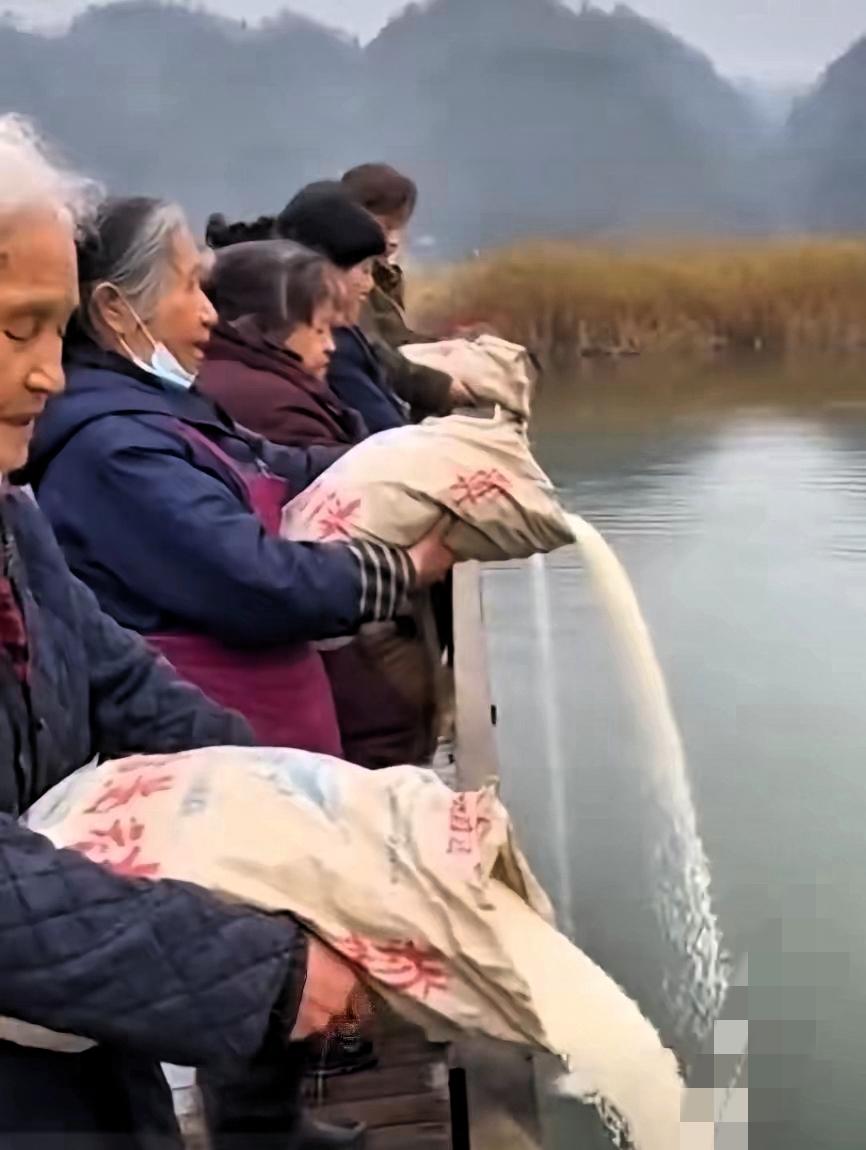 辽宁大妈海边倒整袋大米“放生”？这哪是行善，分明是闹剧！真看傻了！辽宁一群