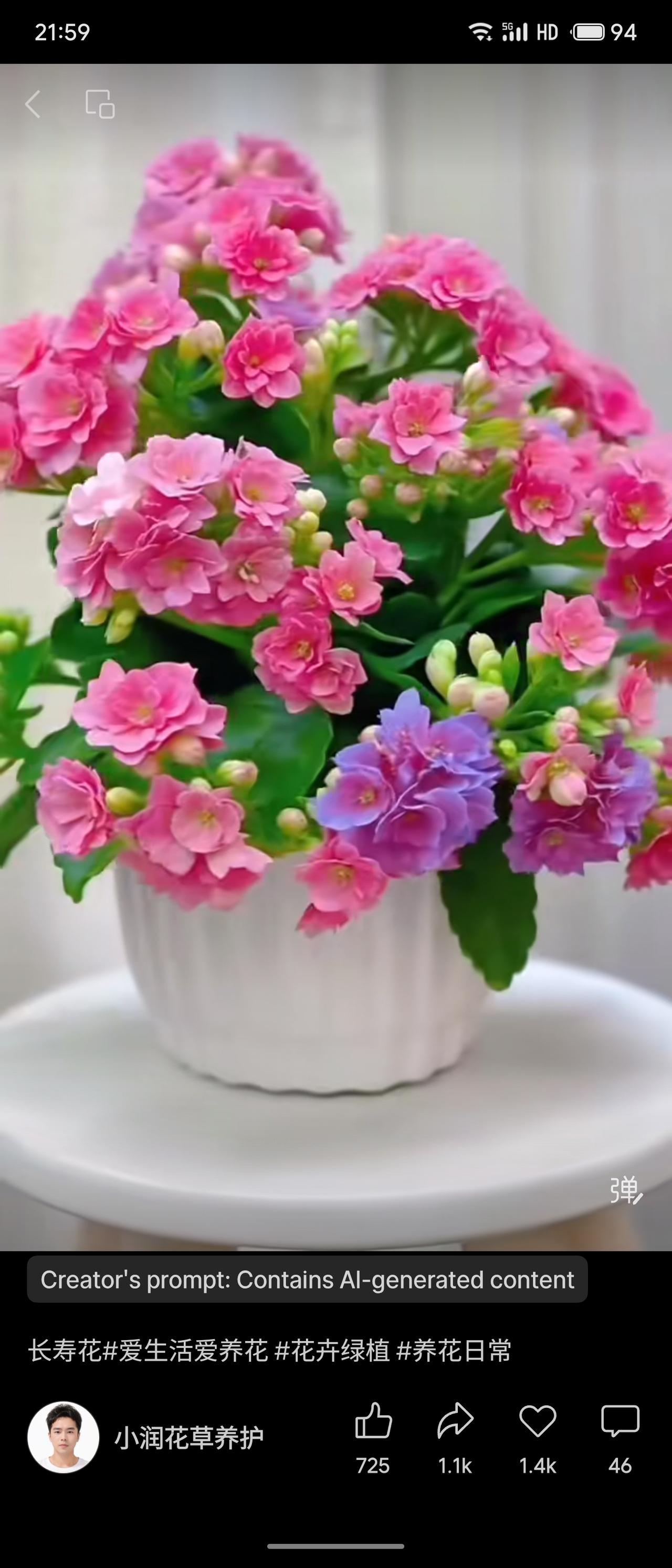 晒图笔记大赛长寿花，含AI生成内容的养花日常分享，专注于花卉绿植养护，小润花草养