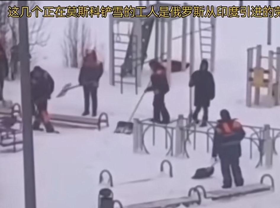 莫斯科工厂老板吐槽印度工人，这些人仿佛不是在清理雪，而是在玩耍，一个个慢悠悠地打
