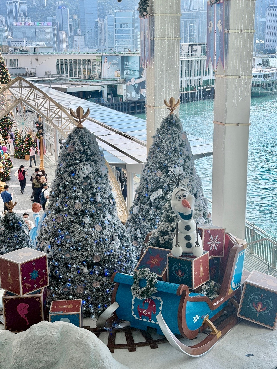 提前来香港感受圣诞氛围🎄✨❄️