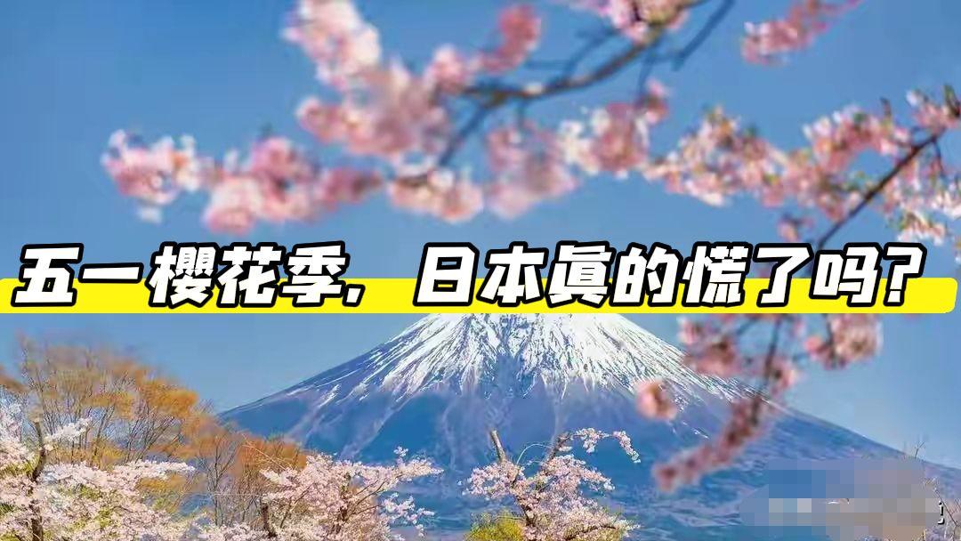 日本慌了？这眼瞅着马上到五一假期了，在前几年这五一假期，去日本的航班那都是一趟接