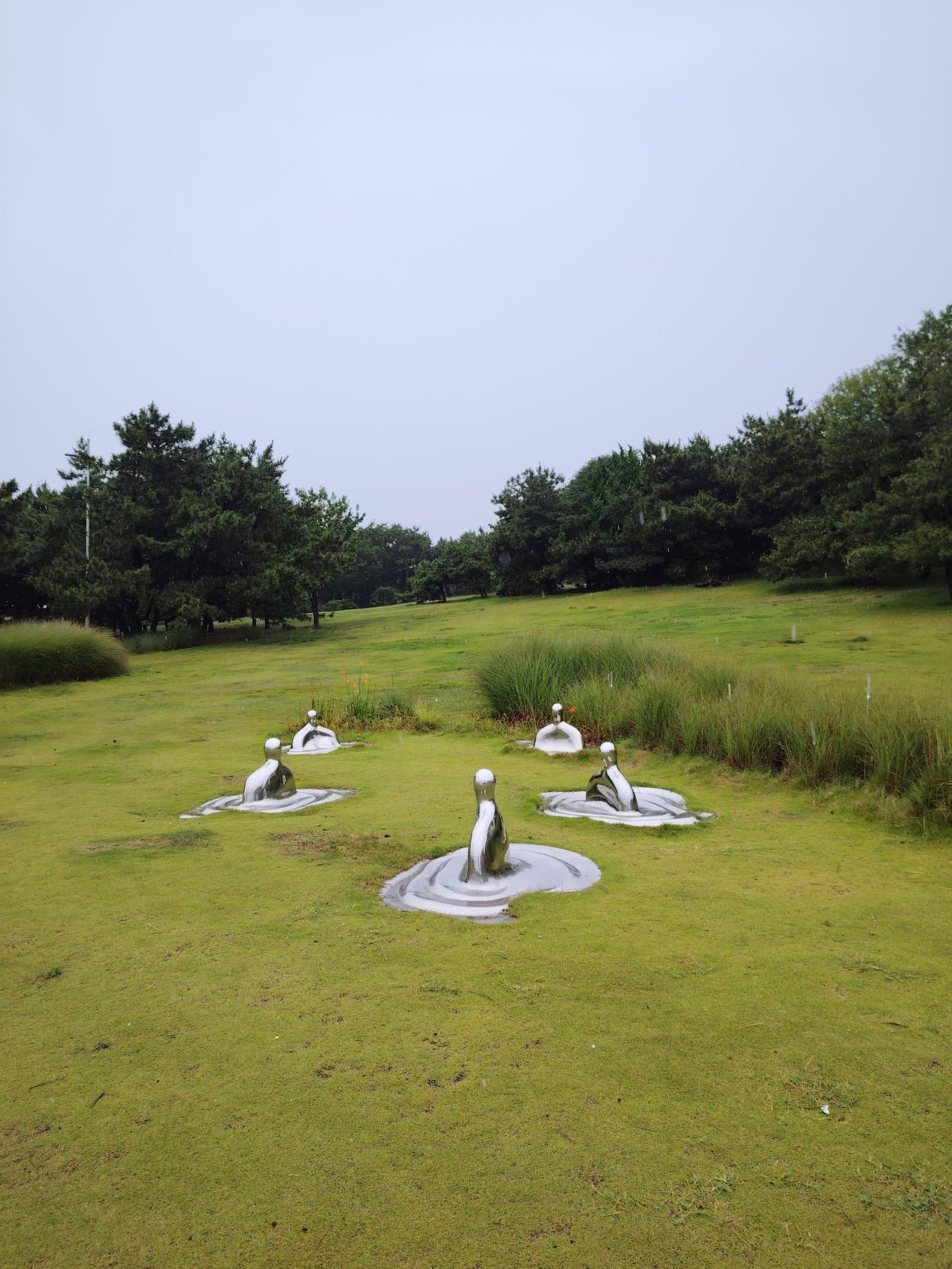 今日青岛市区各区均发布了暴雨黄色预警，从早晨开始，雨就一直下，昨晚的大风着实吓人