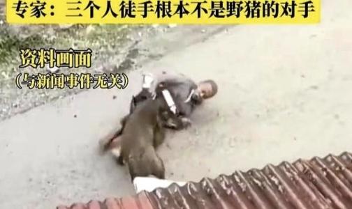 2025年3月31日，贵州天柱县43岁村民龙某，因围观野猪活动遭袭击，被300斤