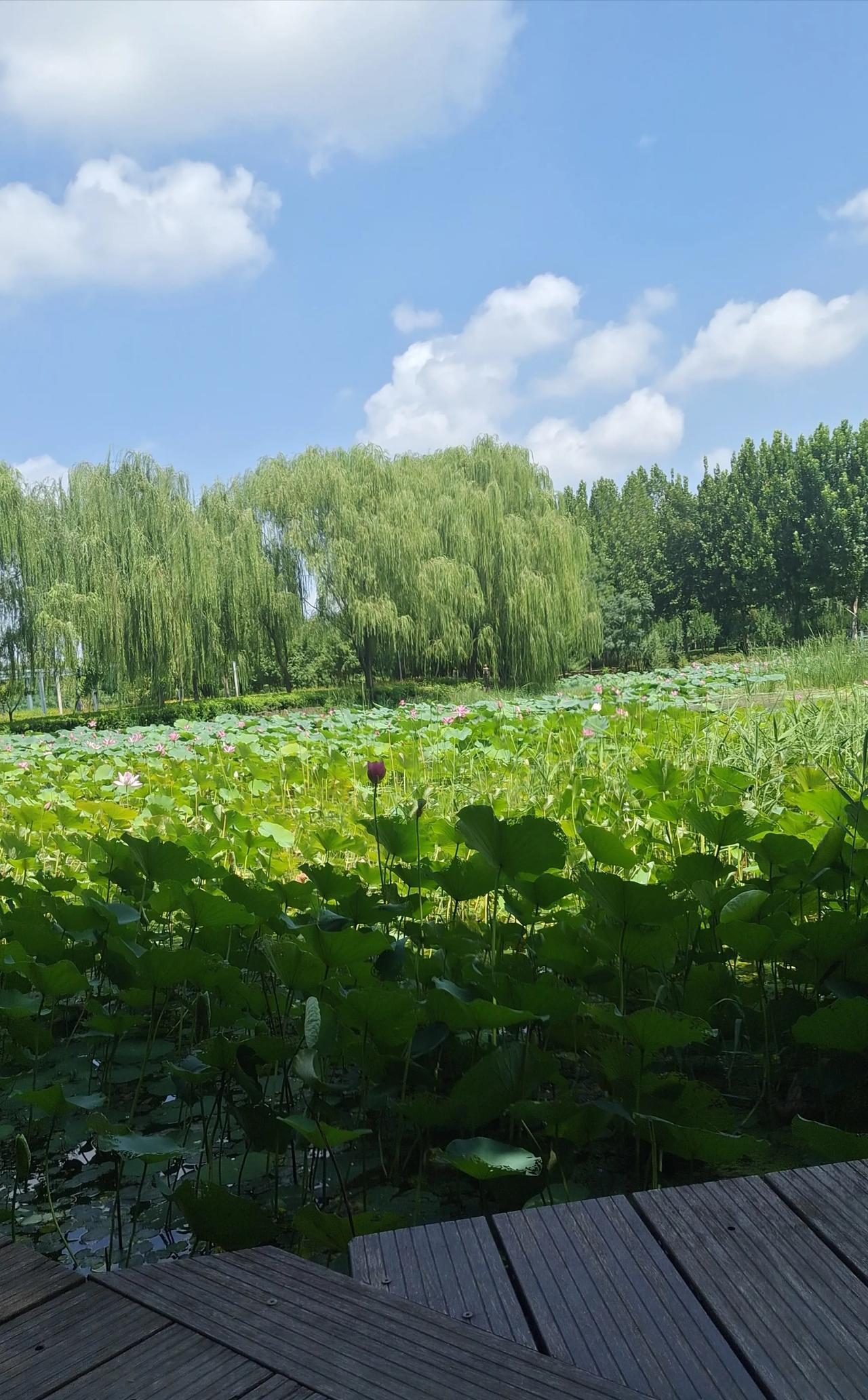 我朋友怀孕5个月时，她老公因为管不住自己下半身，被帽子，叔叔教育了。她扛着孕肚