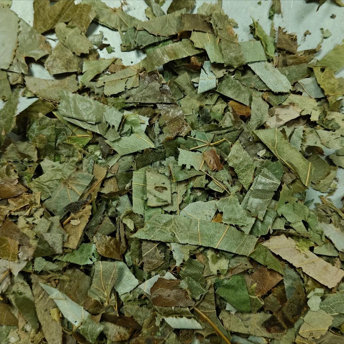 阳痿早泄：我用一把淫羊藿治好了上千患者后，突然悲从中来：不是现在中医不行了，而是