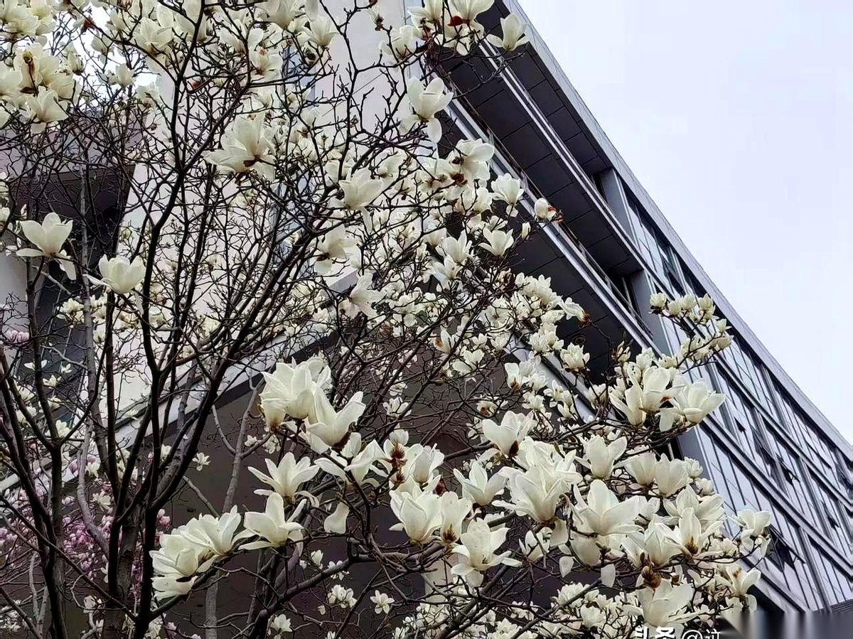 考研“暴涨10分”的残酷：总分第一却被刷，一年血泪为何输给“单科线”？