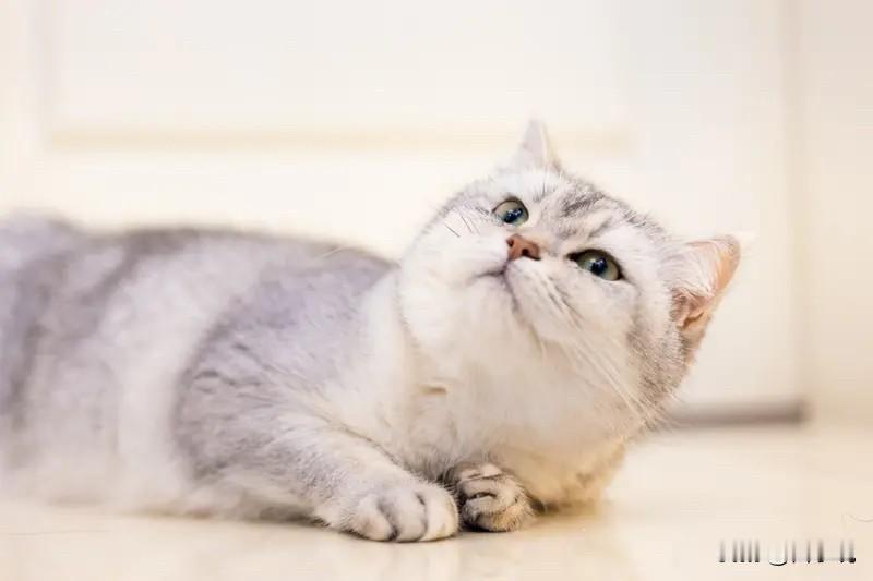 上班你要有的心眼：1：无论是开会还是叫你去领导办公室，随手带笔和本子。2：