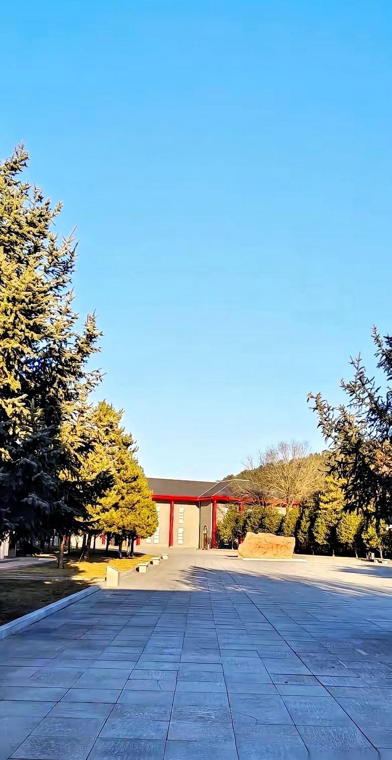 校长倒了。听说，好几位年轻女老师，最近脸都绿了。我们这些老家伙，心里那块压了