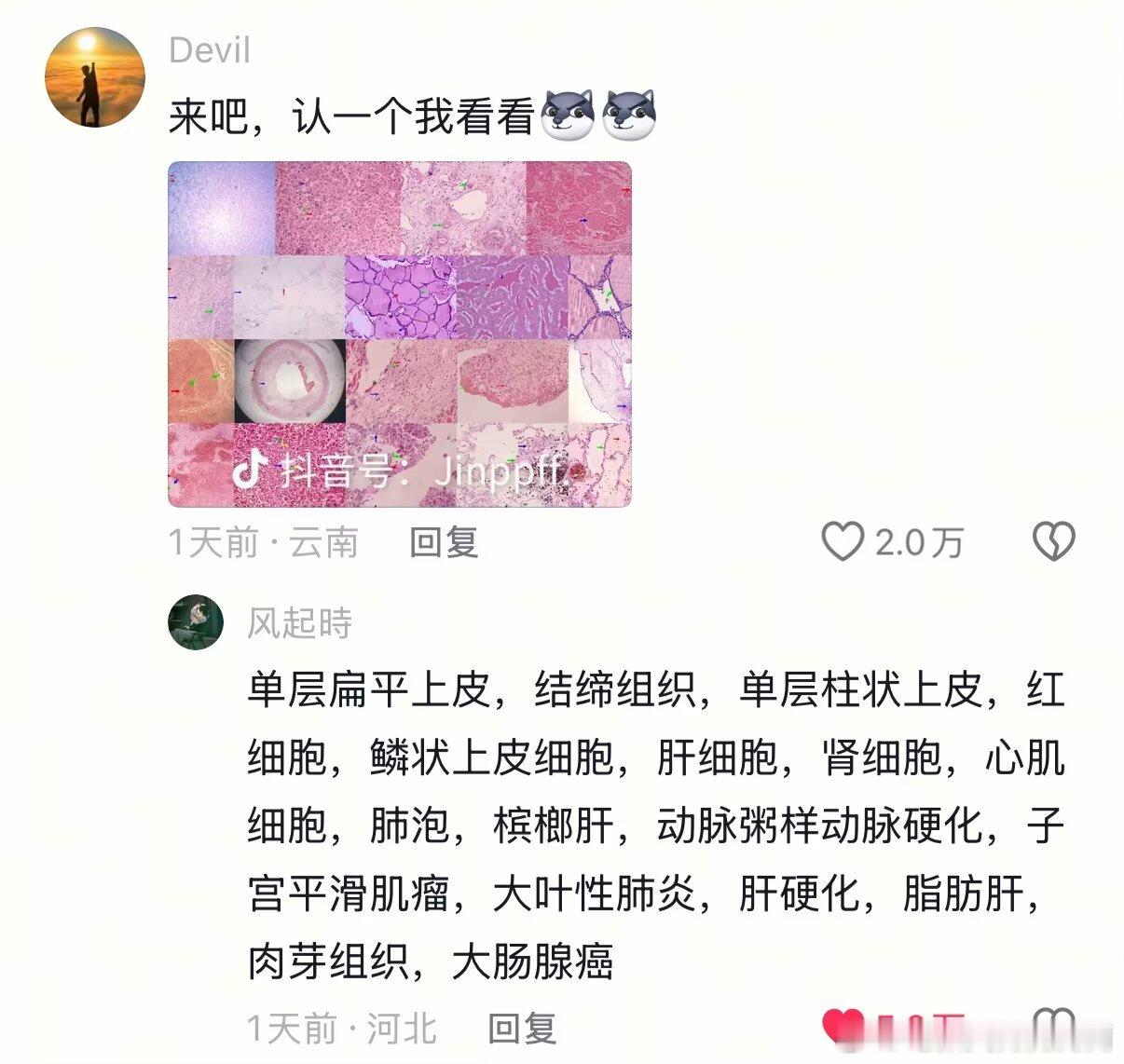 0503仙人之兮列如麻离人已经很远了​​​