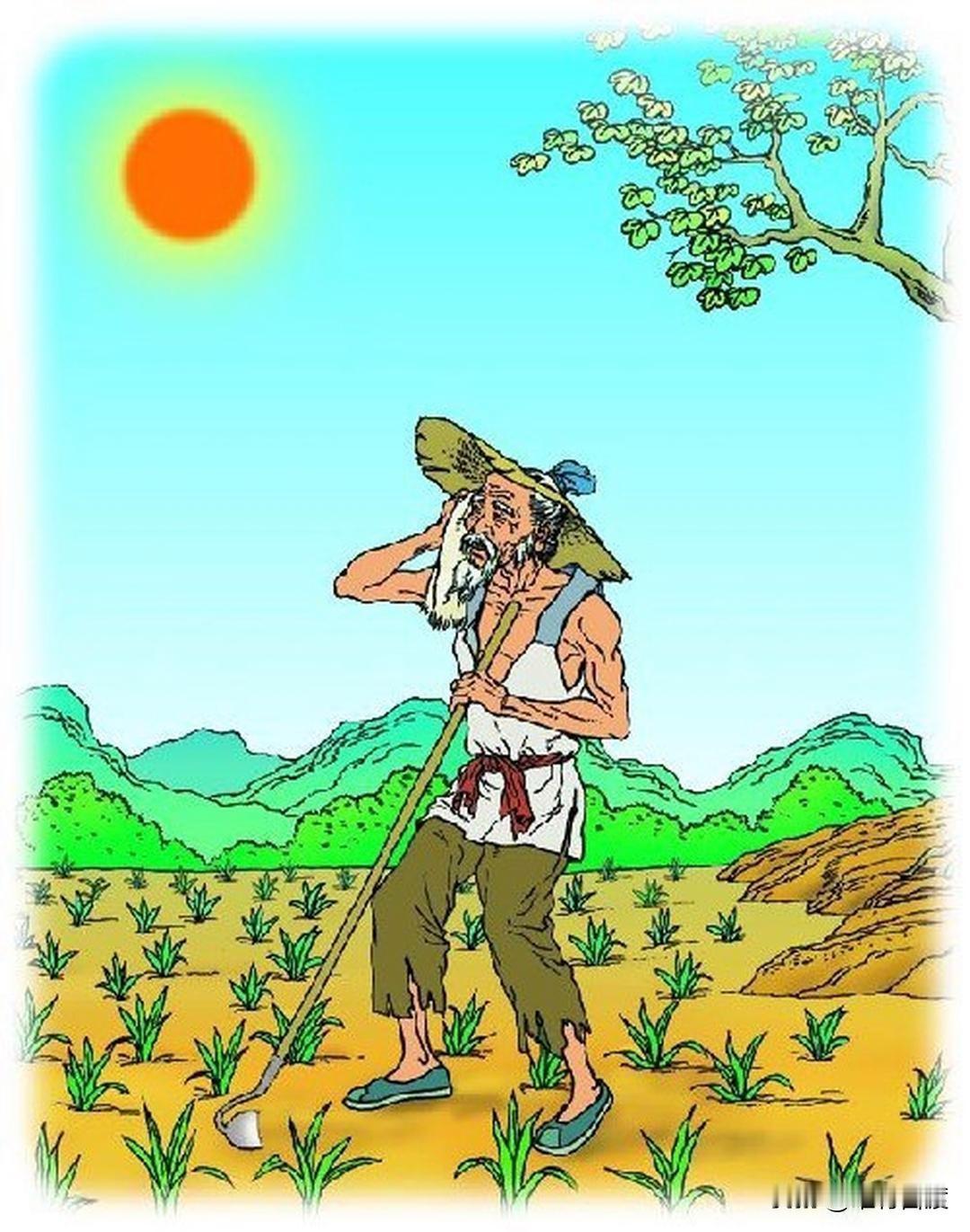 不得不承认，我们都是小人物。每天不得不算计着柴米油盐酱醋茶；每天不得不为鸡