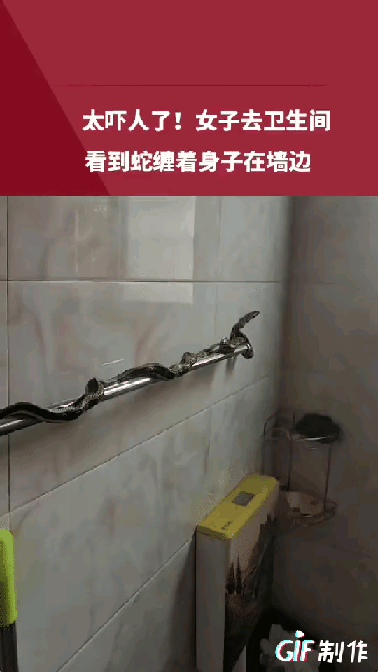 吓死宝宝了。一名女子在家尿急，快速跑去自己家里的卫生间，正要解决内急的时候，女